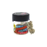 White Cherry Gelato Hybrid