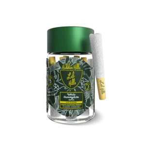 White Gummylato Sativa